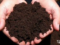 Домодедово куплю грунт Домодедово куплю грунт