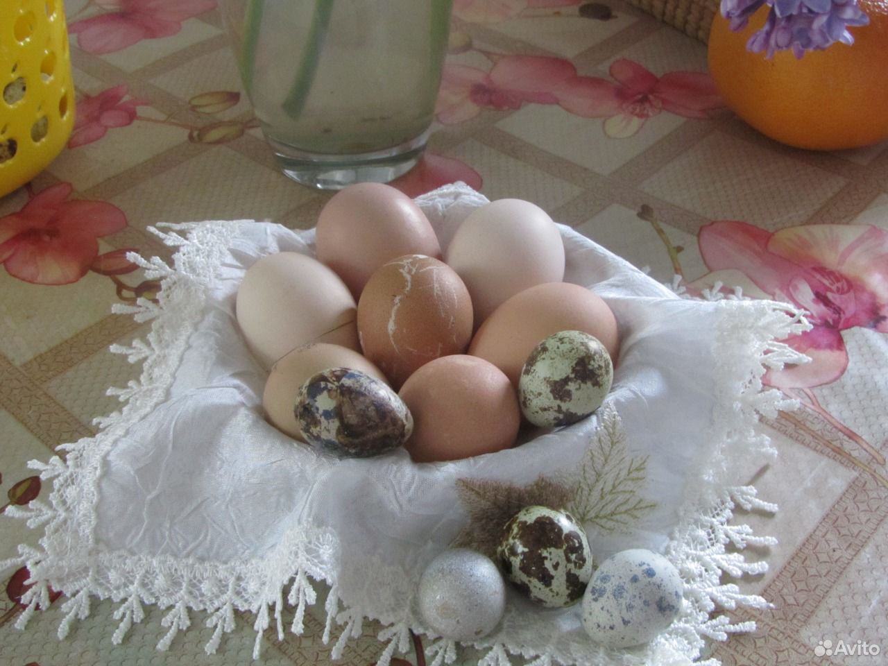 Инкуб. яйцо домашних кур, фазанов купить на Зозу.ру - фотография № 1