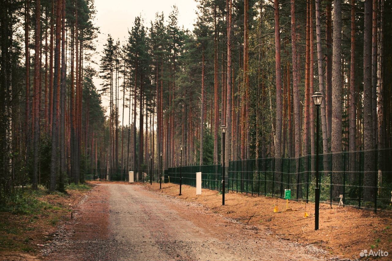 Ленинский участок. Парадиз парк коттеджный поселок. Парадайз парк Ленинградская область. Андреевское Выборгский район. СНТ Андреевский флаг.