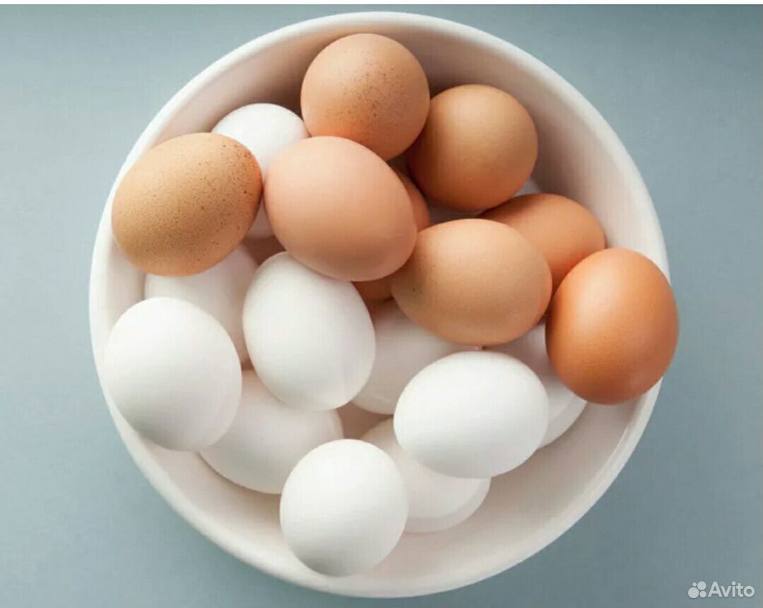 Яйцо (пищевой продукт)