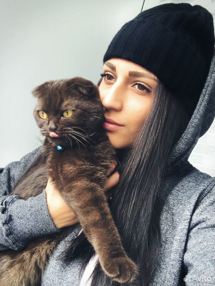 P отдать