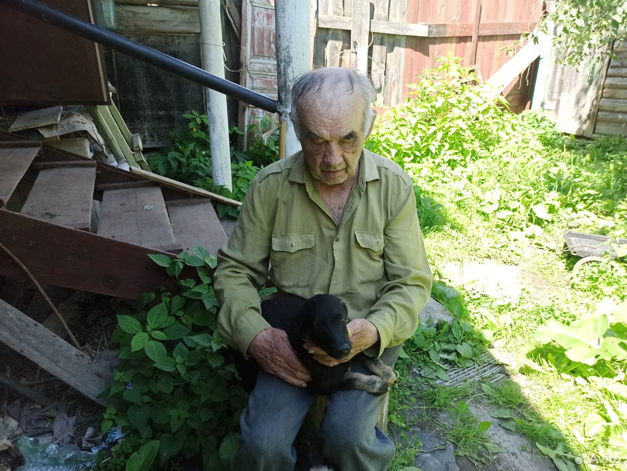 Очаровательный щенок ищет доброго хозяина купить на Зозу.ру - фотография № 6
