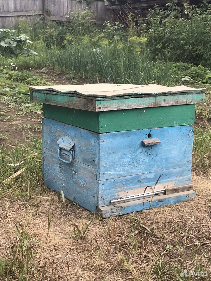 Пчелиный улий купить на Зозу.ру - фотография № 1