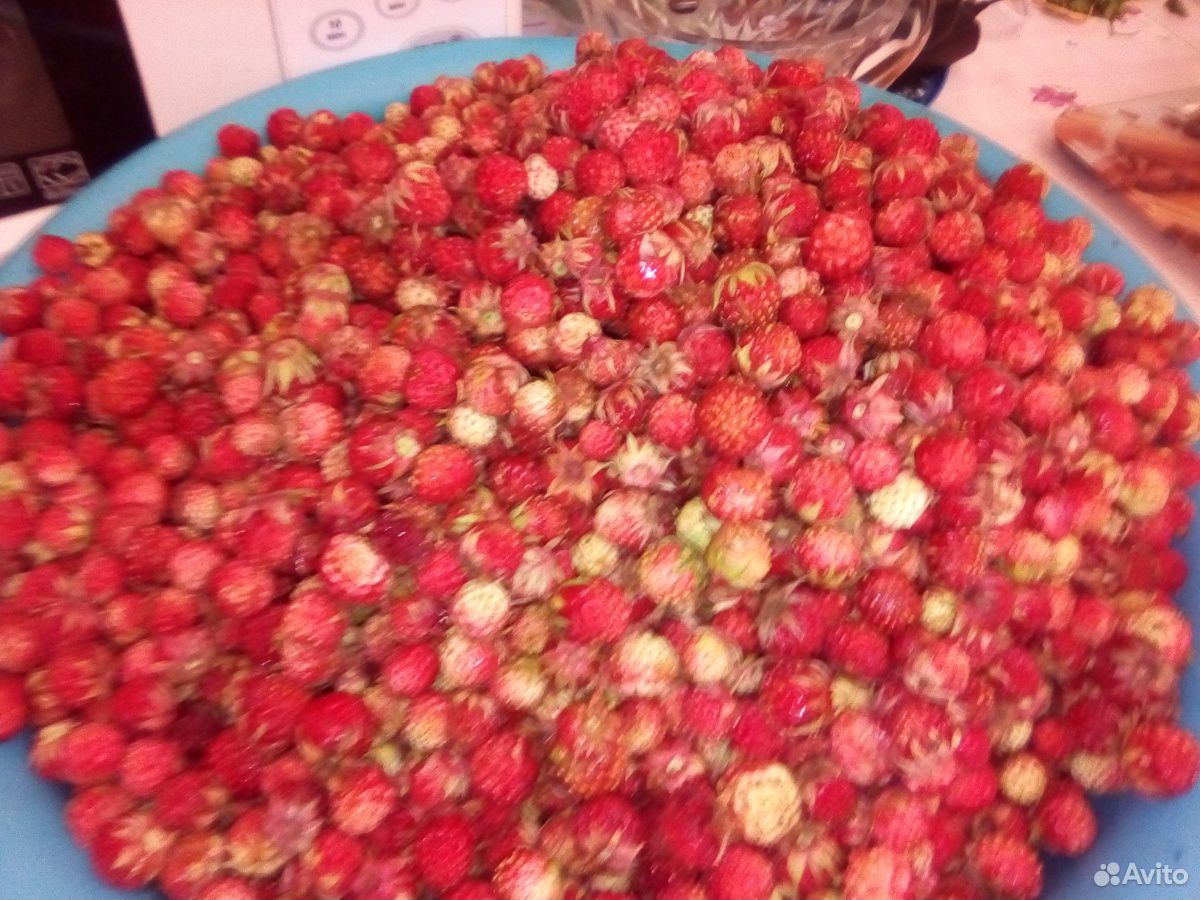 Лесные ягоды, земляника купить на Зозу.ру - фотография № 1