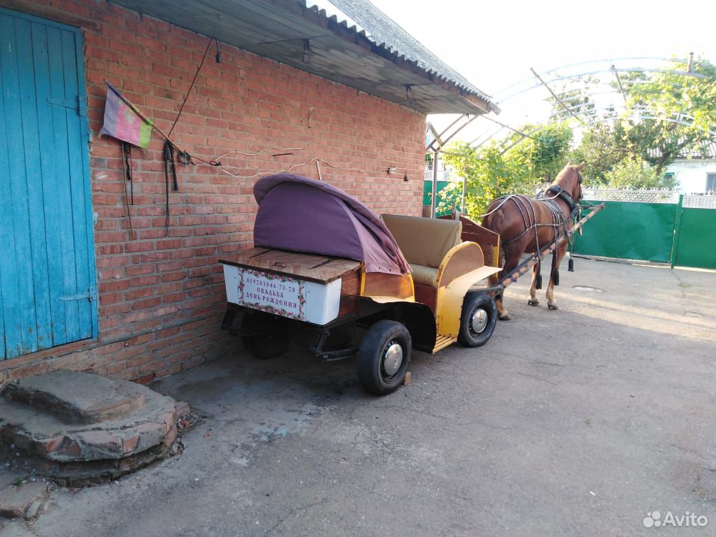 Продаётся лошадь с тачанкой купить на Зозу.ру - фотография № 3