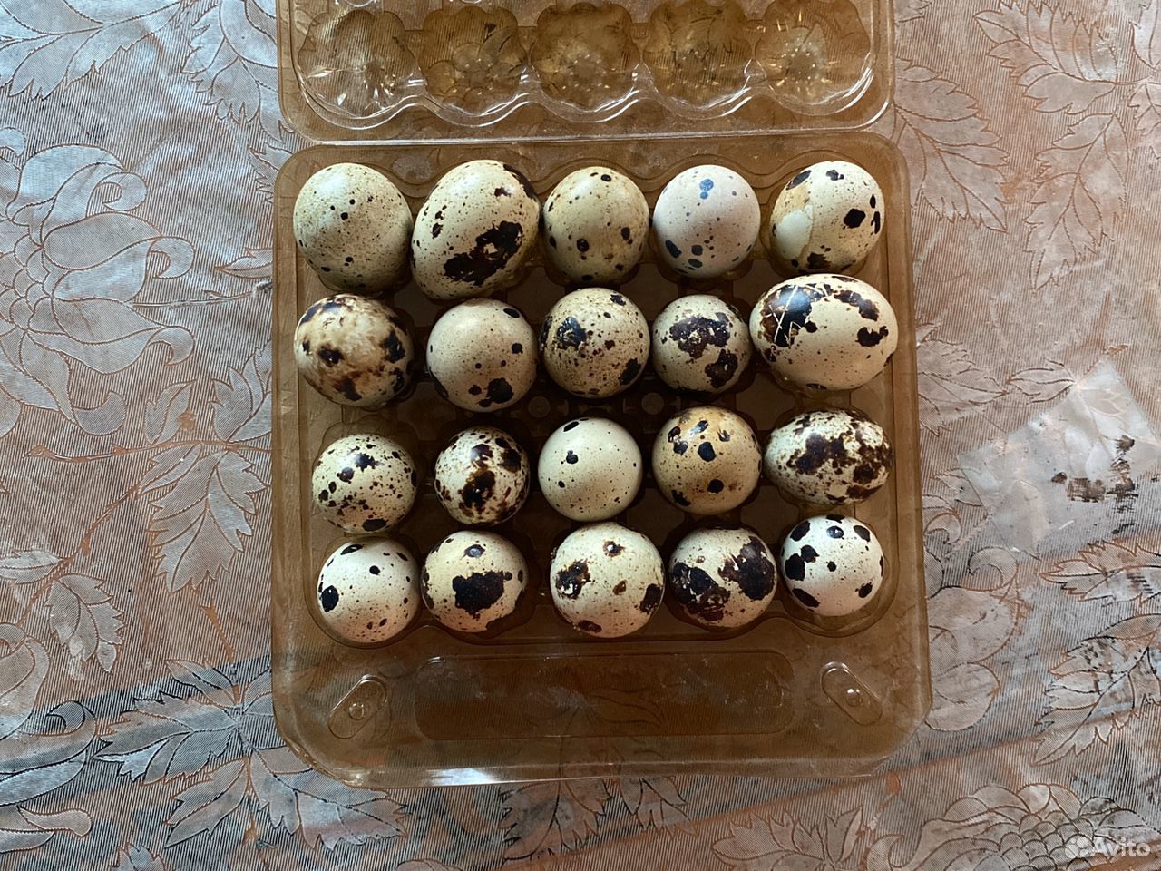 Перепелиные яйца (инкубационные) купить на Зозу.ру - фотография № 2