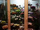 Центр Салон Бутик Цветы Премиум Класса объявление продам
