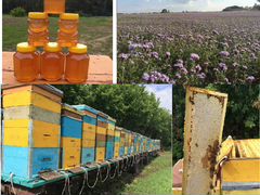 Мёд урожая 2020 года