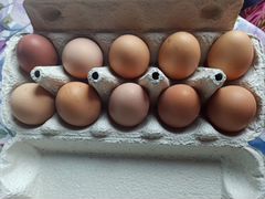 Домашние яйца