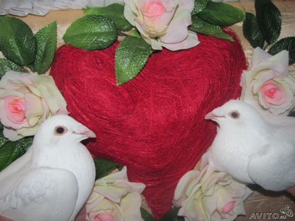 Белые голуби для свадеб