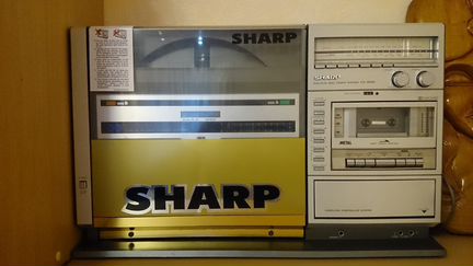 Sharp VZ300