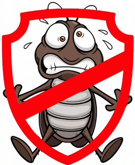 Уничтожение насекомых: тараканов, клопов, блох