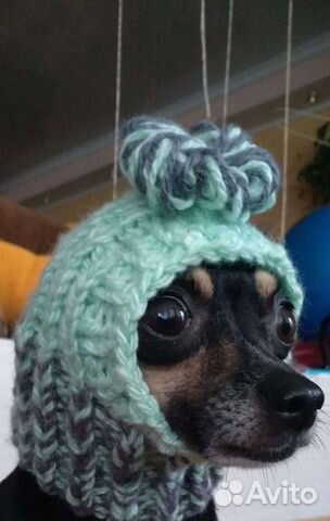 Одежда для собак и кошек