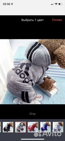 Костюм для собаки