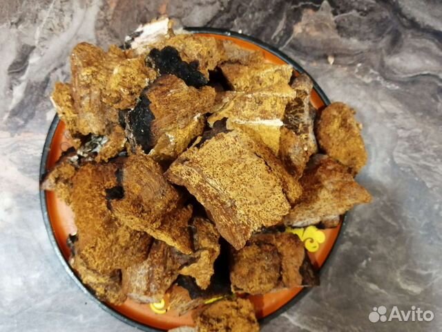 Березовый гриб чага