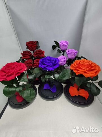 Роза в колбе оптом и в розницу