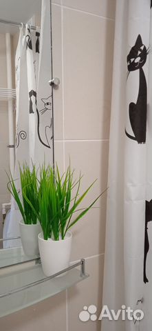 

2-к. квартира, 40 м², 4 кровати
