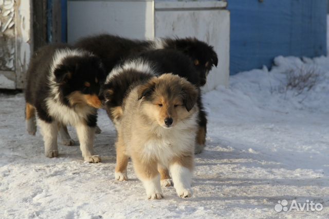 Воплощение мечты