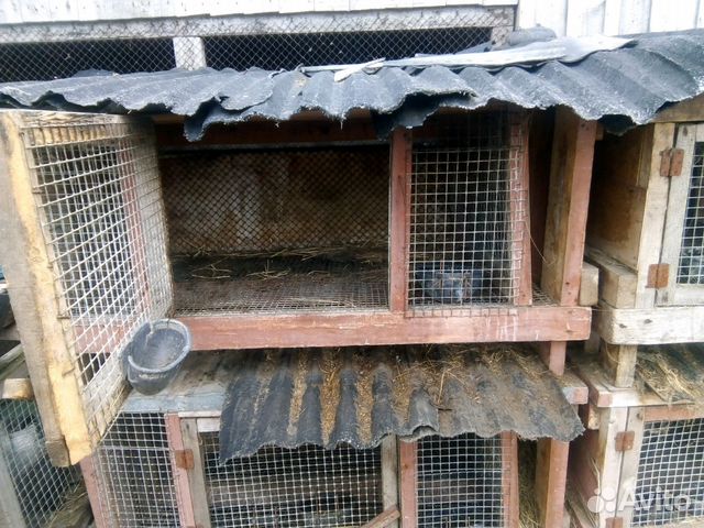 Клетки для кроликов