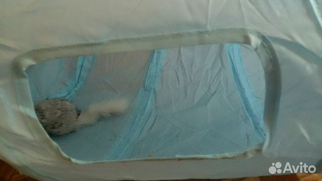 Туннель для кошки купить на Зозу.ру - фотография № 5