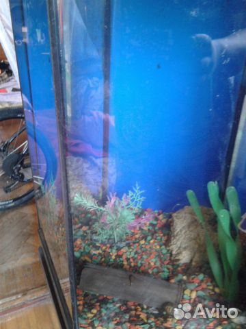 Шестигранный аквариум акваэль- с тумбой, свет, рыб