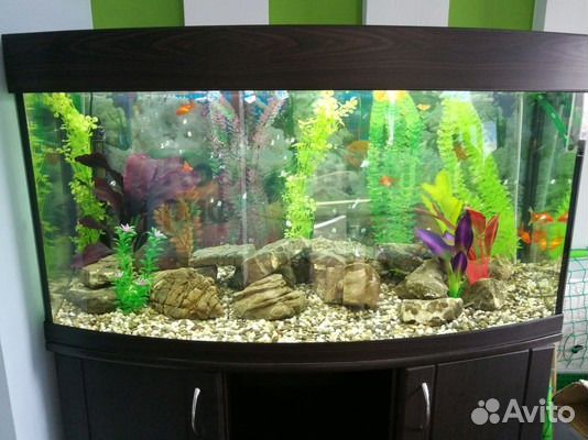 Аквариумы под ключ Аквариумы под ключ
