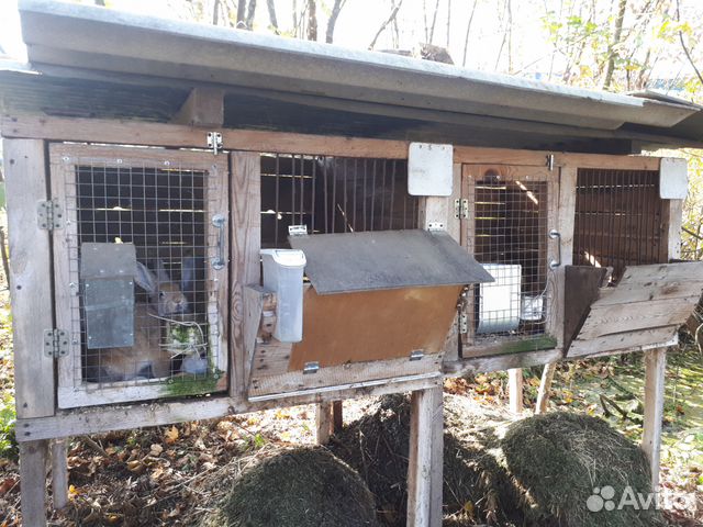 Cages for rabbits