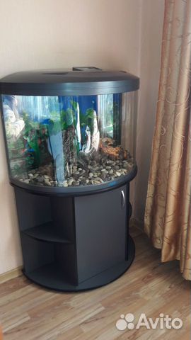Новый аквариум с тумбой на 169 литров купить на Зозу.ру - фотография № 2