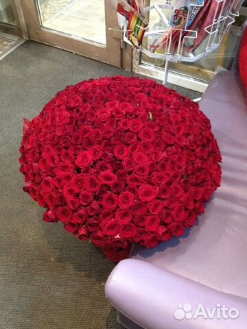 Роза 50см Ред Наоми.Премиум. Доставка. 24ч