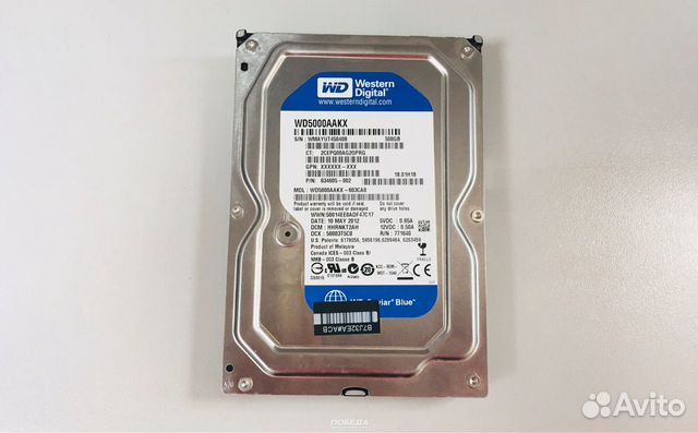 Жёсткий диск WD 500gb