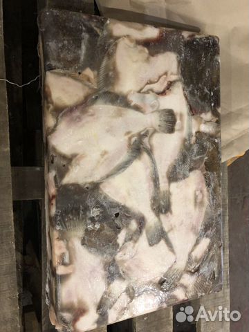 Продам Камбалу Продам Камбалу