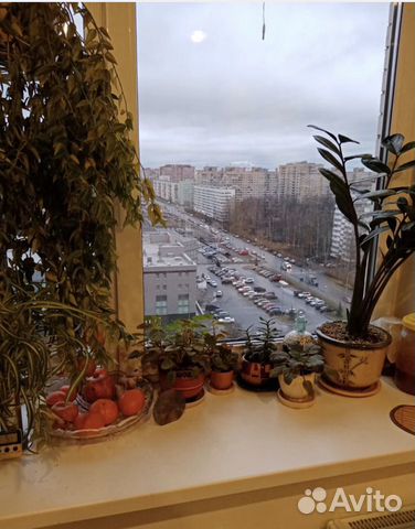 3-к квартира, 84.5 м², 13/17 эт.