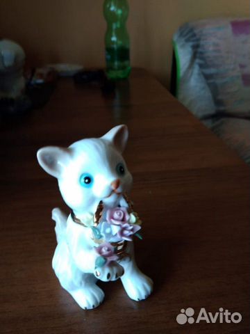 Кот