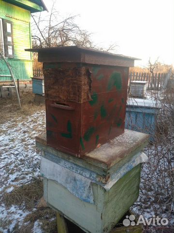 Ловушки для пчел купить на Зозу.ру - фотография № 3