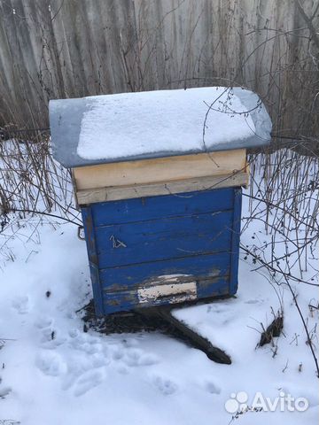 Ульи для пчёл купить на Зозу.ру - фотография № 3