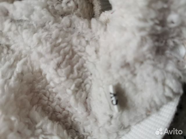 Одежда для карликовых собак