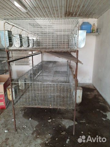 Клетки для кроликов купить на Зозу.ру - фотография № 8