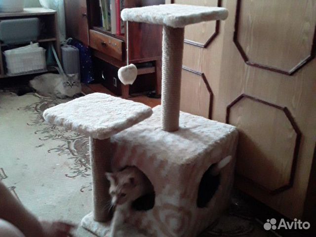 Домик для кошек купить на Зозу.ру - фотография № 1