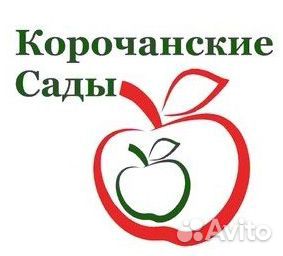 Зам. генерального директора по сельскому хозяйству Зам. генерального директора по сельскому хозяйству