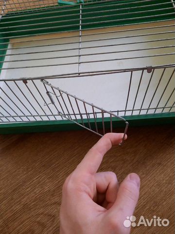 Клетка