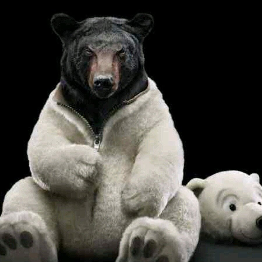 ���������� �������� �������� �� ���