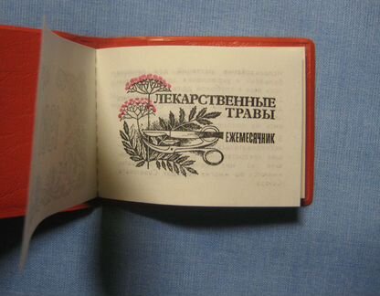 Шеврон Олимпиада 80, Леска х/б 