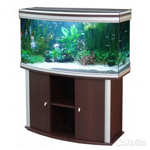 Аквариум Aquatlantis ambiance horizon 100 (200 л)