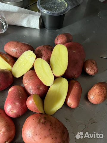 Картофель (продовольственный, столовый, семенной)
