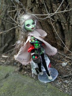 Monster high ooak кукла Венера