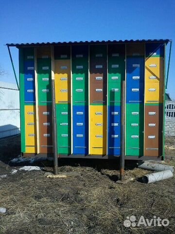 Пчелопавильон берендей