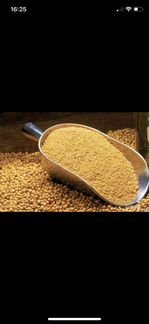 Продам соевый шрот Янта