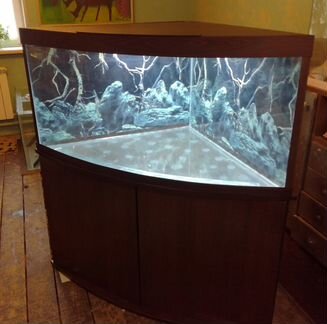 Аквариум в каждый дом