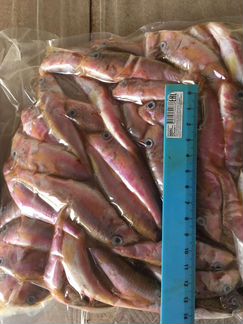 Рыба свежемороженая черноморская рыба опт