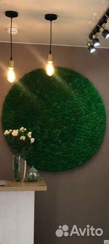 Стабилизированный мох панно